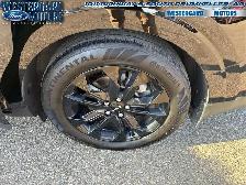 2024 Kia Carnival SX - Premium Audio - Leather Seats - Photo 29
