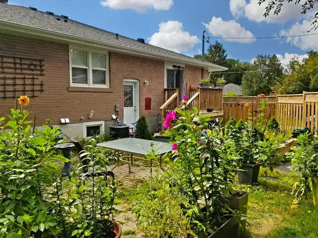 3 bed 1 Bath House Newmarket $2400