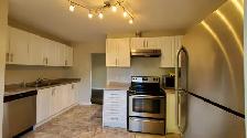 3 bed 1 Bath House Newmarket $2400 - Photo 8