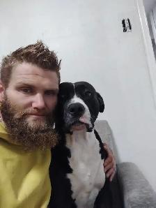 Looking for a room or basement to rent ASAP for my Dog Sadie & I - Photo 2
