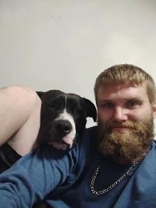 Looking for a room or basement to rent ASAP for my Dog Sadie & I - Photo 4