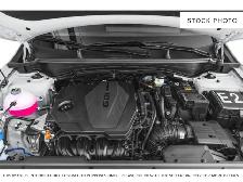 2024 Kia Sportage - Photo 6
