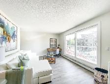 Strathcona Apartments - 2 bedroom Apartment for Rent - Photo 9