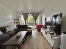 Appartement 3 ½ à louer Lévis septembre 2026