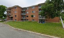 Appartement 3 ½ à louer Lévis septembre 2026 - Photo 9