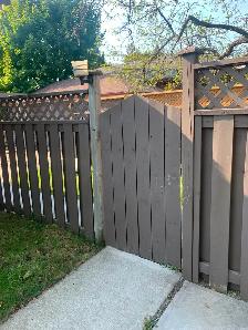 One Bed Basement for Rent - Photo 7