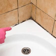 BLACK MOULD Grout Caulk STEAMCLEAN CAULK SILICONE