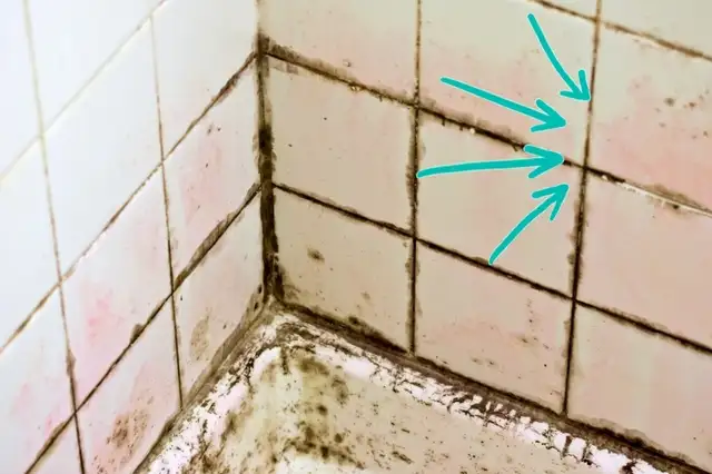 STEAMCLEANING MOULD MACHINE BATHROOM TILE GROUT CAULK