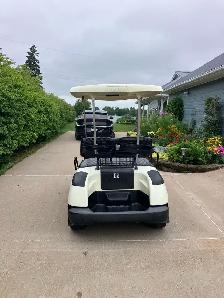06 Yamaha G22 Gas Golf Cart - Photo 4