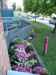 Ahuntsic-Est, 4½, 2 ch fermées, style condo pour 50 ans et - Photo 5