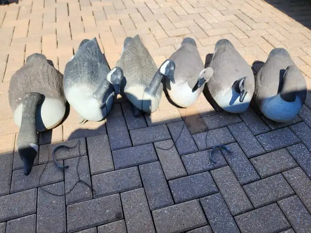 Floating Goose Decoys