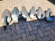 Floating Goose Decoys