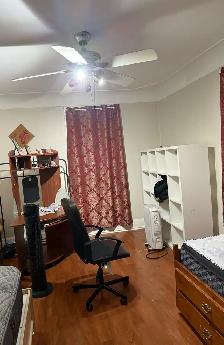 house cleaning help needed