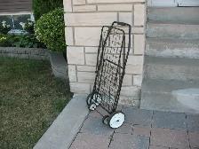 Large Folding Shopping Cart - Photo 5