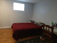 Bright and Spacious Room for Male  (Warden & Ellesmere) - Photo 5
