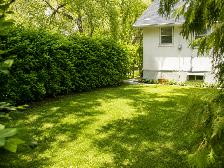 Character Home in Norwood Flats | Pet Friendly | $1,500/month - Photo 2