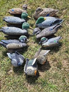 Floating Duck Decoys