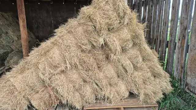Hay for sale