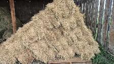 Hay for sale