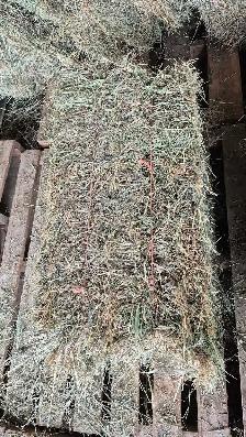 Hay for sale - Photo 2