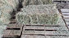 Hay for sale - Photo 3