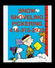 SNOWBLOWER SHOVEL PICKERING DRIVEWAY SNOW