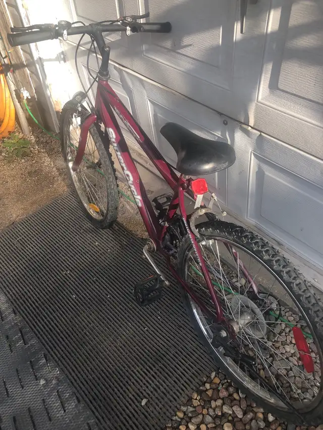 15 speed Bike
