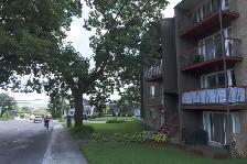 4 1/2 Charlesbourg Rez-de-jardin 1er septembre - Photo 3