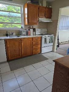 2 Bedroom plus Den 2 Level 80 Camelot Lane October 1st - Photo 5