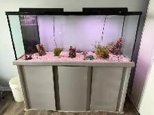 120 gallon Aquarium tank including lights, gravel decoration