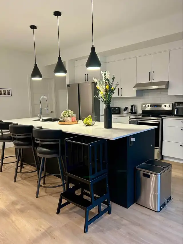 Appartement de 3 chambres et 1 salle de bain (1,750$/mois)