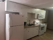 2 Bedrooom 1 Bath Lower Level Suite in Bi Level Home in NE - Photo 10