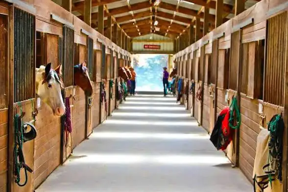 looking for a English horse boarding place where I can work