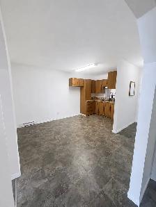 1 Bed   Den Mainfloor Apartment In Iroquois Falls - Photo 3