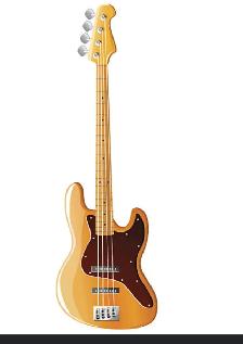 bass player needed male or female
