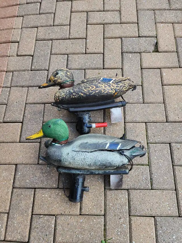 Motorized Pair Of Mallard Decoys