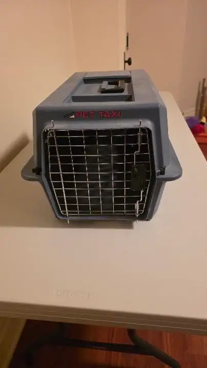 Pet Carrier 'Pet Taxi'