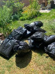 Picking up unwanted appliances and furniture in Toronto - Photo 3