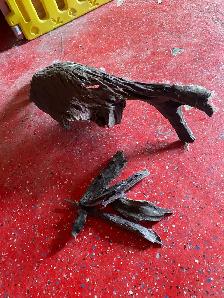 driftwood many different pieces
