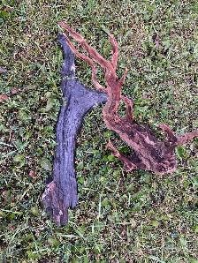driftwood many different pieces - Photo 2