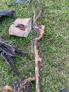 driftwood many different pieces - Photo 3