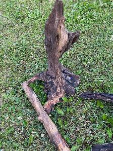 driftwood many different pieces - Photo 4