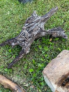 driftwood many different pieces - Photo 6