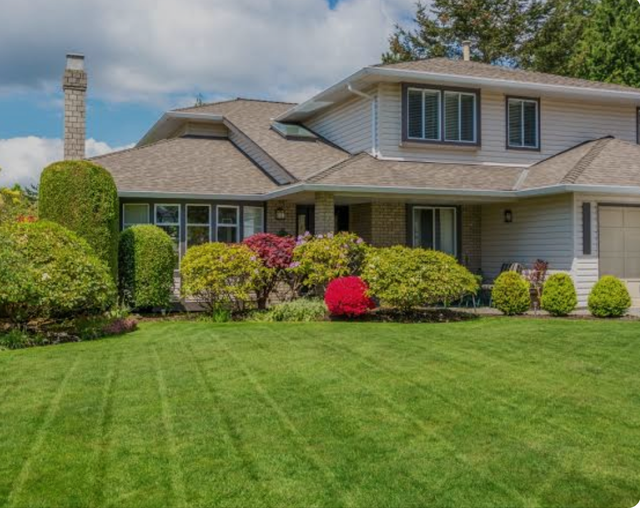 Leaf Cleanup, Landscaping, Junk Removal & Power Washing