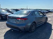 2020 TOYOTA COROLLA  NO ACCIDENTS  MUST SEE 4 DOOR - Photo 3