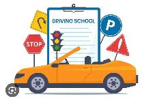 Driving instructor
