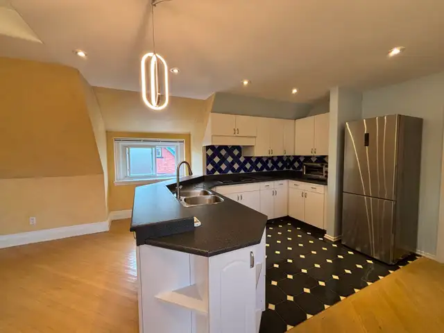 1 bedroom apartment in century home