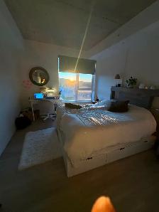 Location grand condo 4 1/2