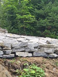 landscaping and hardscapes - Photo 7