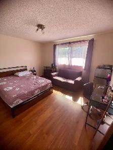 Furnished room for rent
